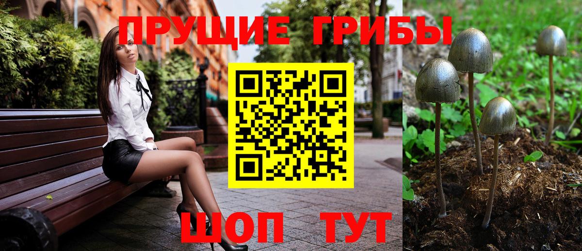 Галлюциногенные грибы Psilocybe  Вход с VPN  Псилоцибиновые грибы MAGIC MUSHROOMS  Новомосковск 
