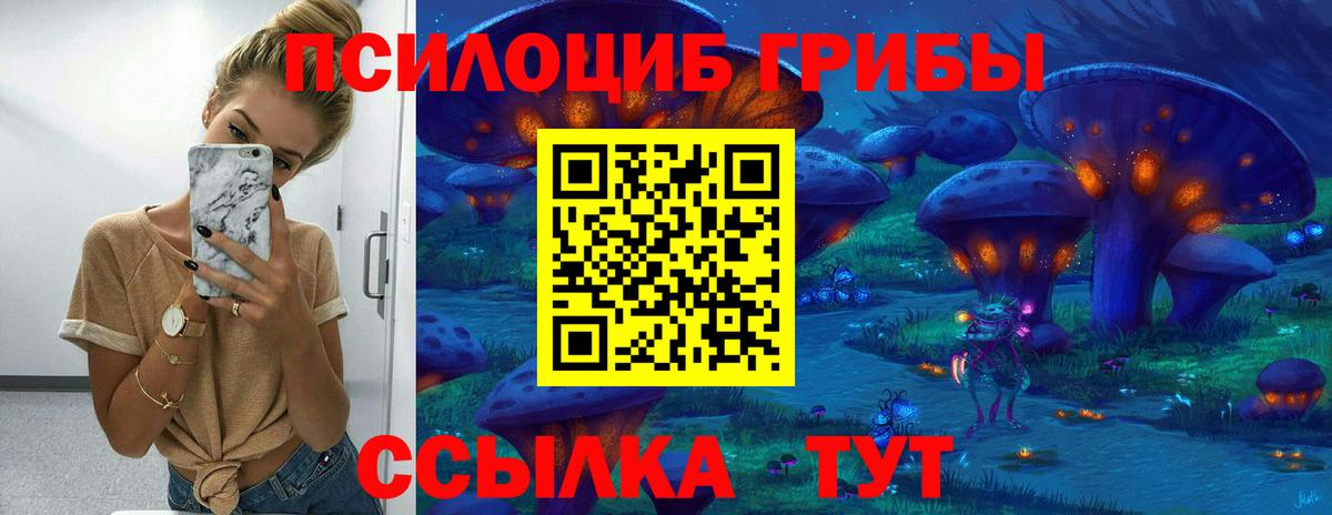 Псилоцибиновые грибы Magic Shrooms Новомосковск