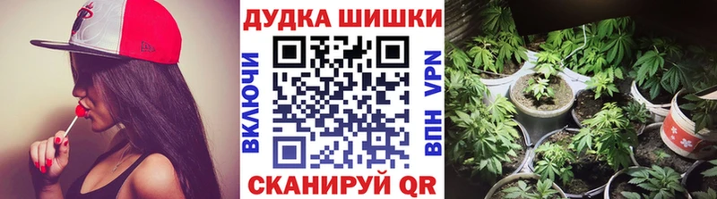 цены наркотик  Новомосковск  Конопля ГИДРОПОН 